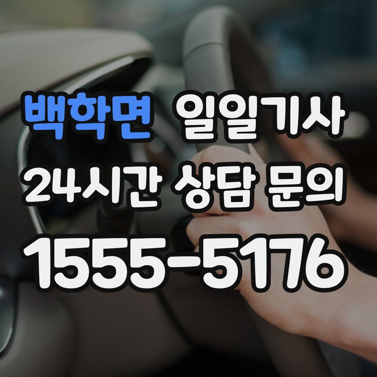 백학면 일일기사 공항 탑승 수속 여유 도착