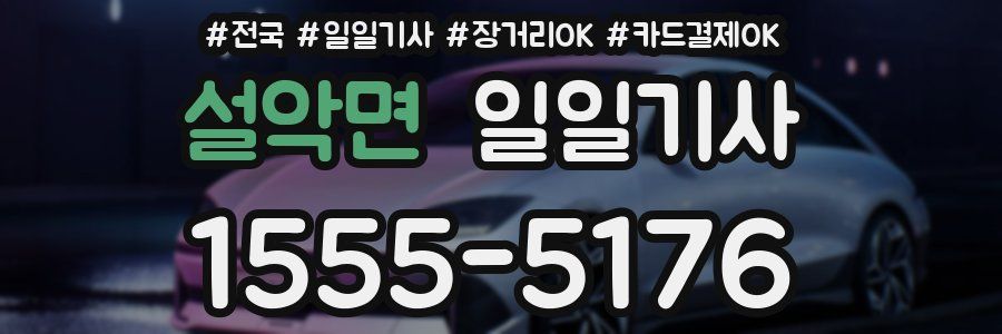 설악면 일일기사
