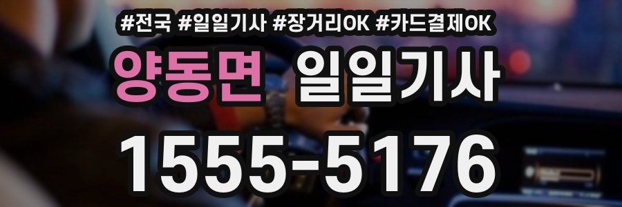 양동면 일일기사