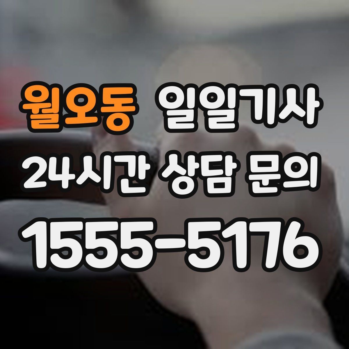 월오동 일일기사 공항 픽업과 미팅을 한 번에