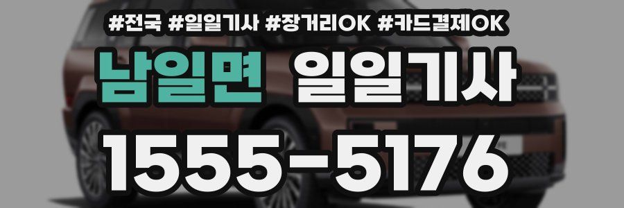 남일면 일일기사