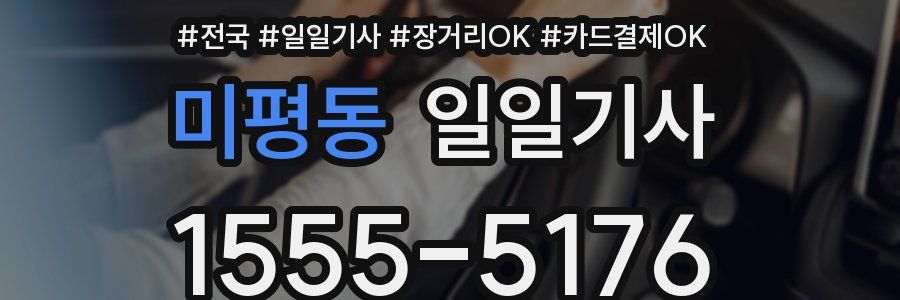 미평동 일일기사
