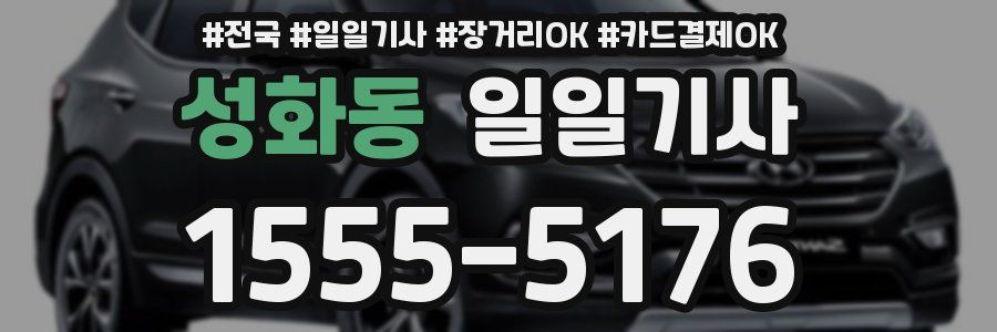 성화동 일일기사