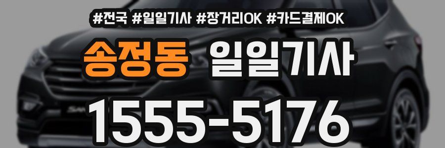 송정동 일일기사