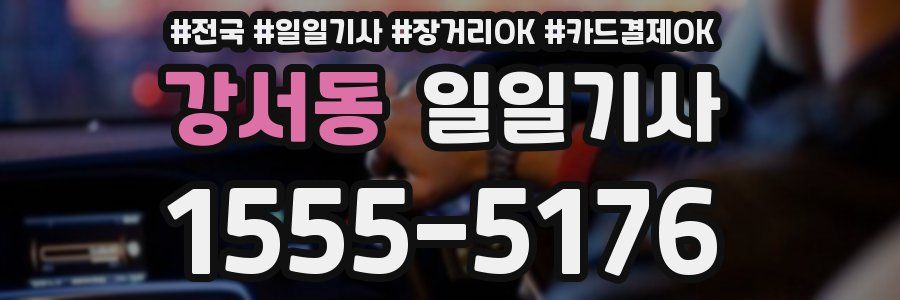 강서동 일일기사