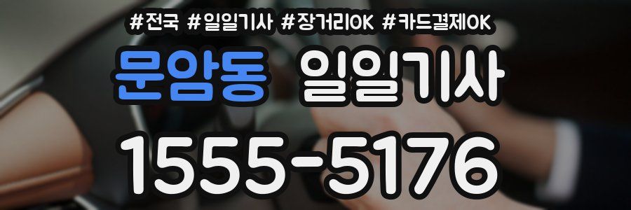 문암동 일일기사