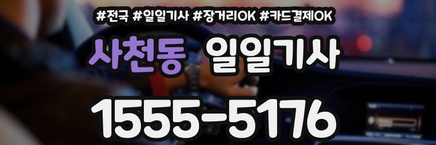 사천동 일일기사