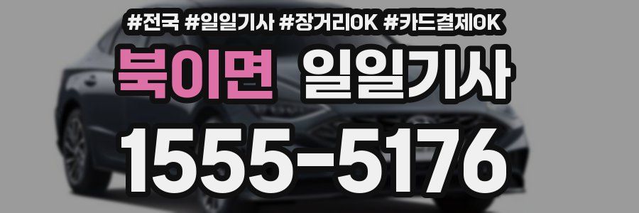 북이면 일일기사