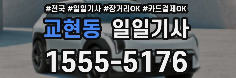 교현동 일일기사