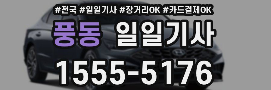 풍동 일일기사