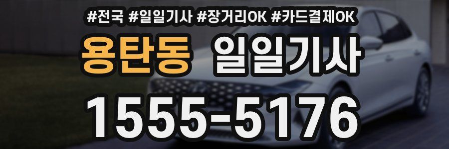 용탄동 일일기사