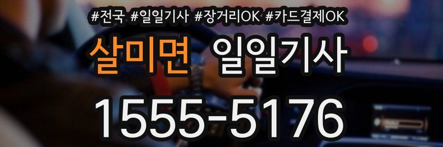 살미면 일일기사