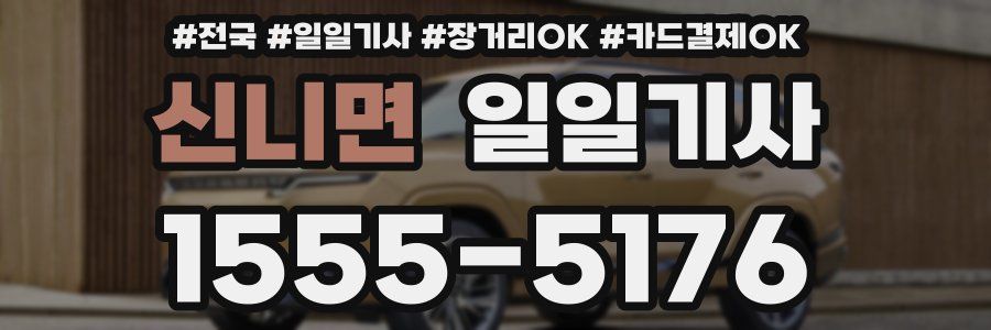 신니면 일일기사