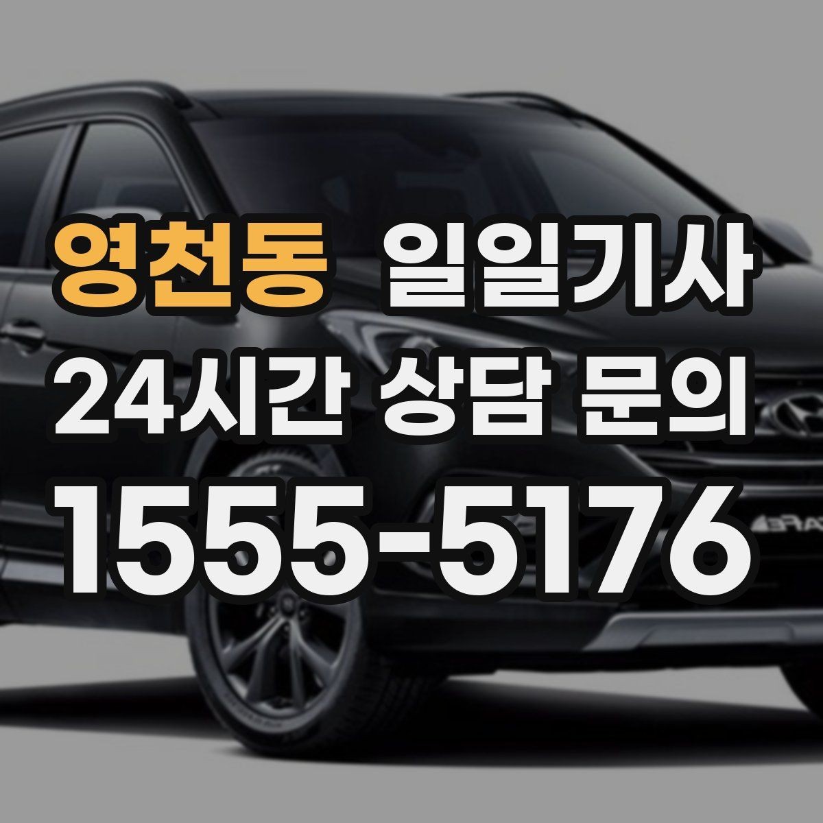 영천동 일일기사 단체 라운드 왕복 예약