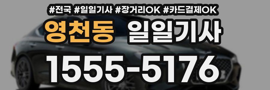 영천동 일일기사