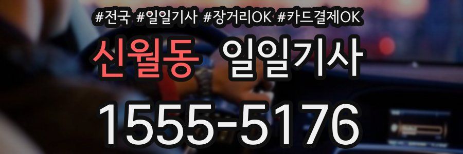 신월동 일일기사