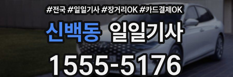 신백동 일일기사