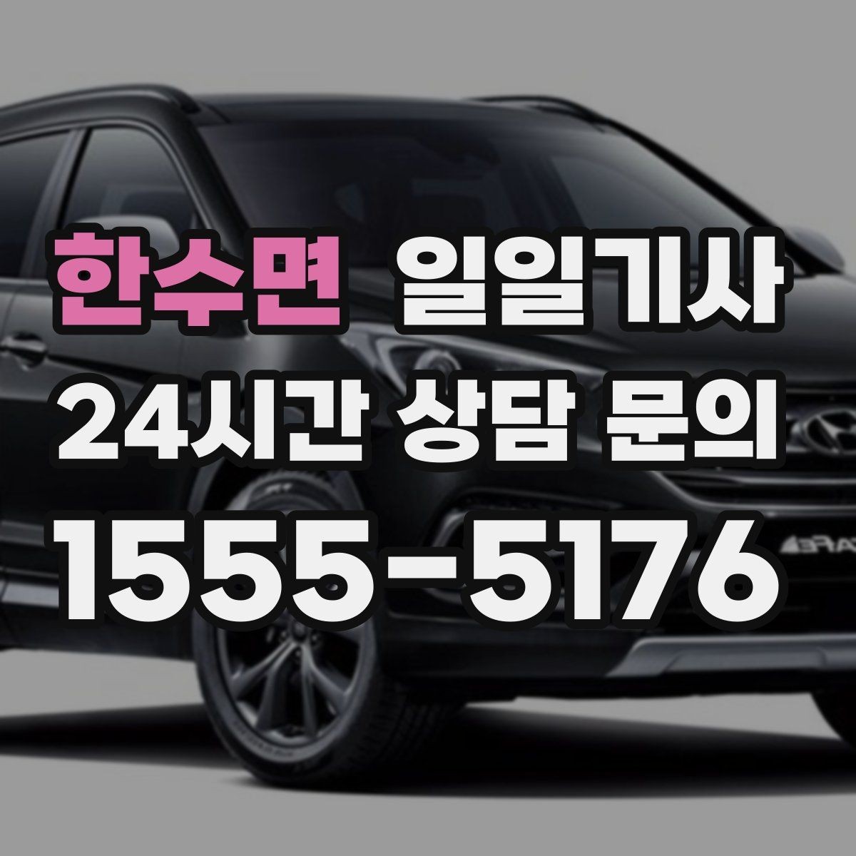 한수면 일일기사 골프 라운드 전담 동행