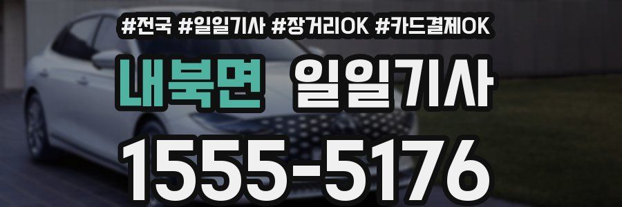 내북면 일일기사