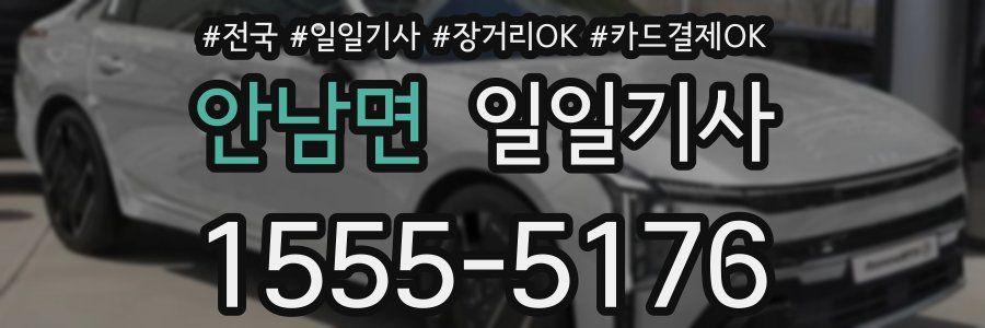 안남면 일일기사