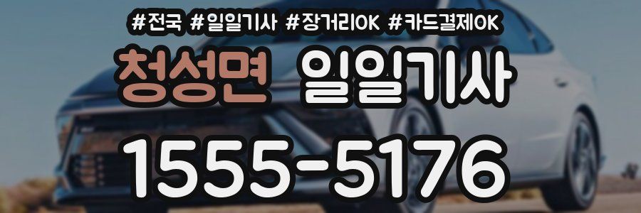 청성면 일일기사