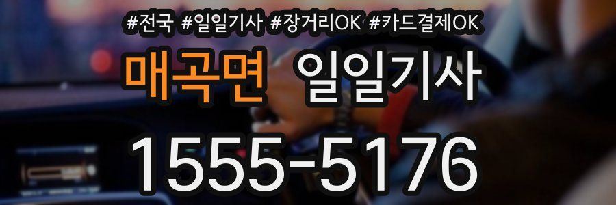 매곡면 일일기사