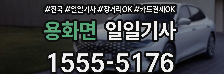 용화면 일일기사