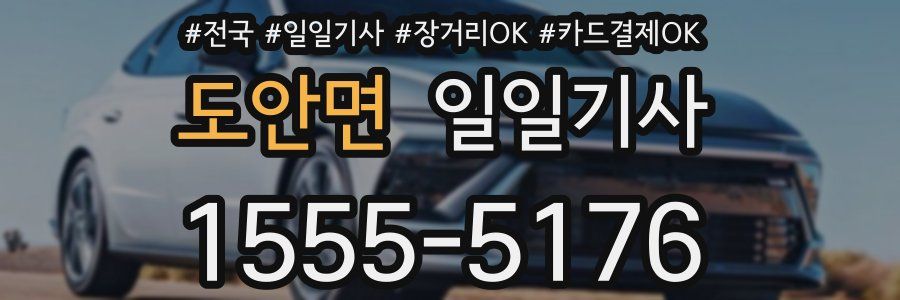 도안면 일일기사