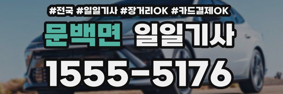 문백면 일일기사