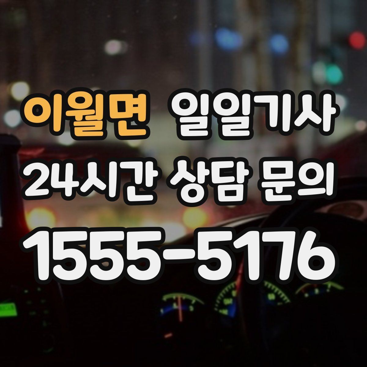 이월면 일일기사 수하물 케어 공항 동행