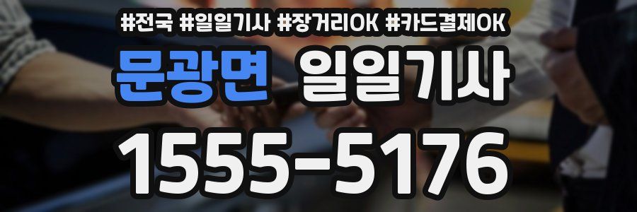 문광면 일일기사