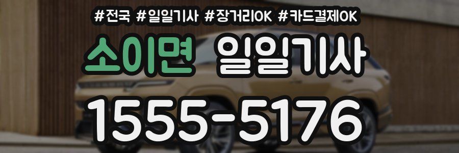 소이면 일일기사