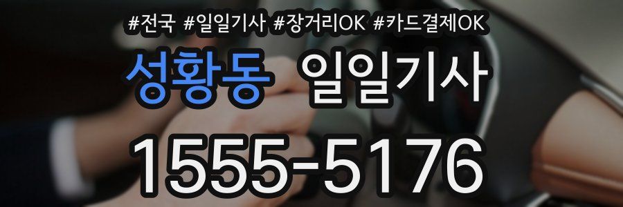 성황동 일일기사