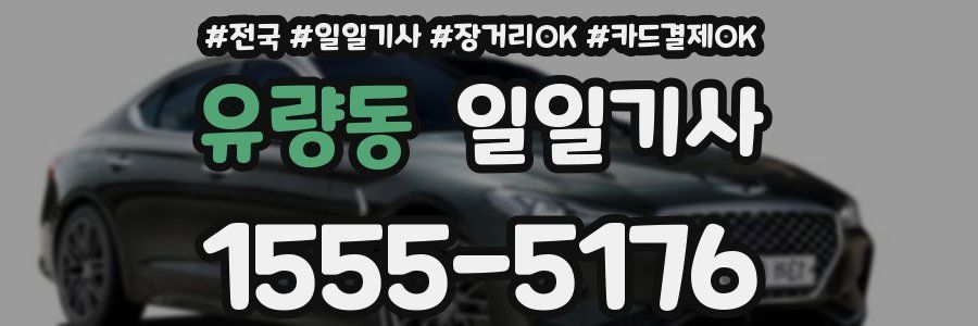 유량동 일일기사