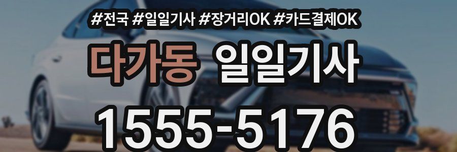 다가동 일일기사