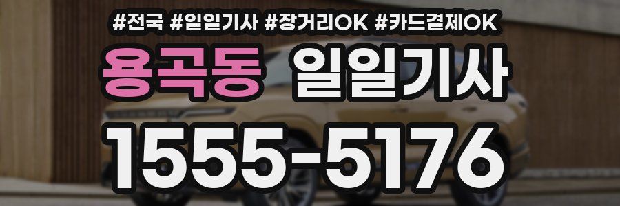 용곡동 일일기사