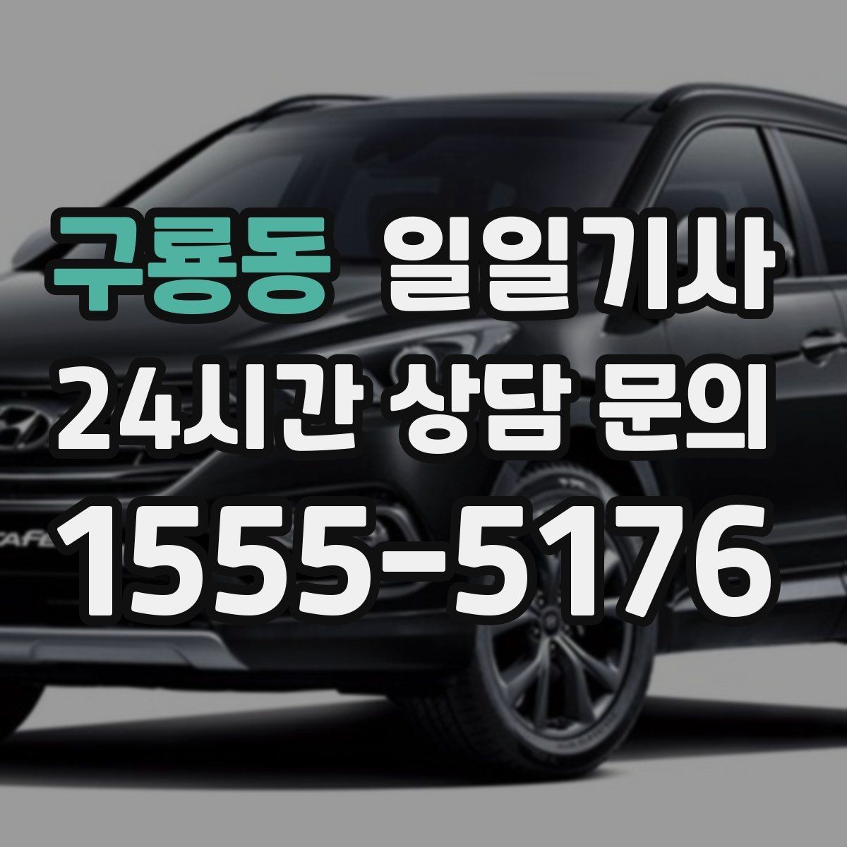 구룡동 일일기사 무리한 코스 배제 안전 우선
