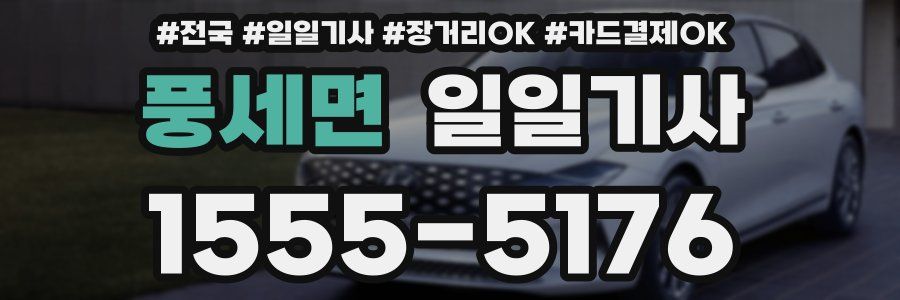 풍세면 일일기사