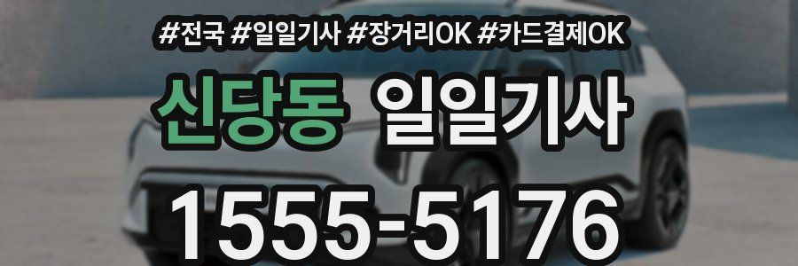 신당동 일일기사