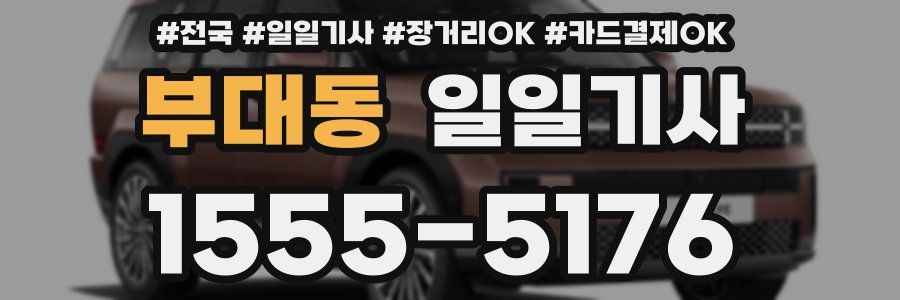 부대동 일일기사