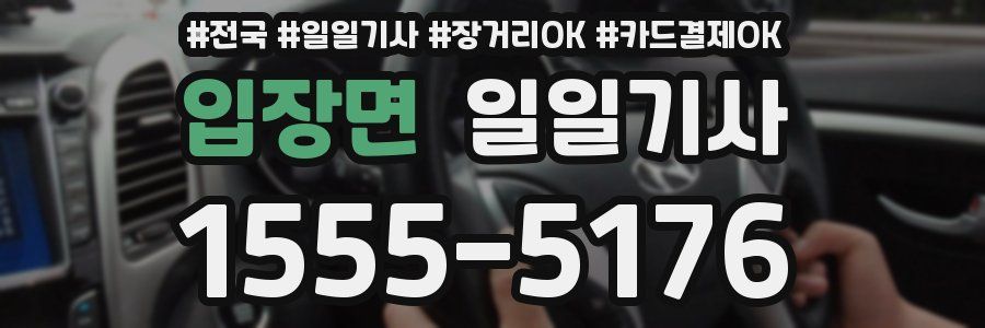 입장면 일일기사