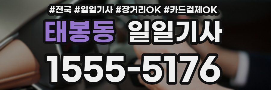 태봉동 일일기사