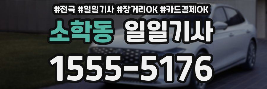 소학동 일일기사
