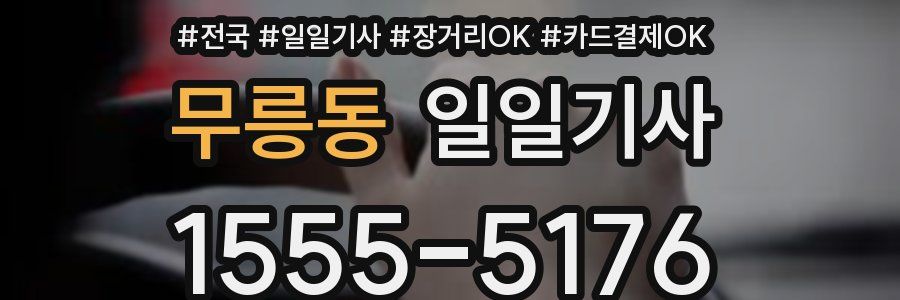 무릉동 일일기사