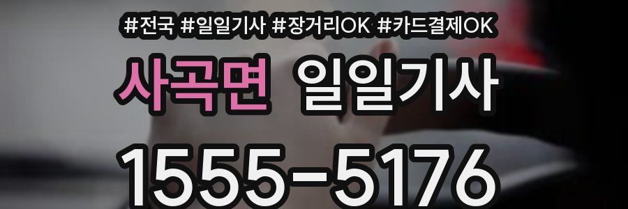 사곡면 일일기사