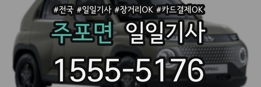 주포면 일일기사