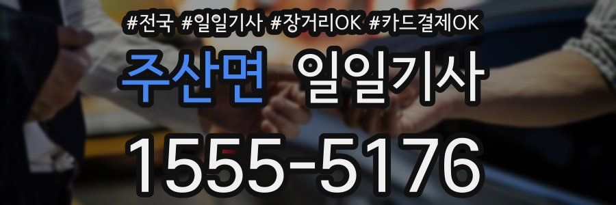 주산면 일일기사