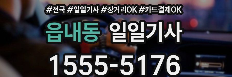 읍내동 일일기사