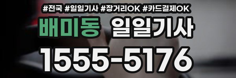 배미동 일일기사