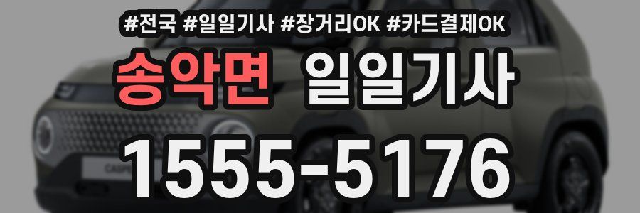 송악면 일일기사